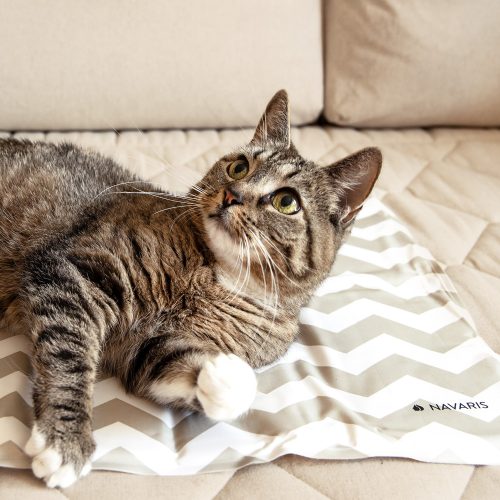 Chladící podložka pro psy a kočky, 50 x 90 cm, 51184.2