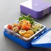 Cutie Bento Navaris cu 4 compartimente, recipient sos, albastru inchis, 49877.02.17