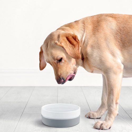 Sada 2 misek pro kočky a psy Navaris, protiskluzová, šedá, 53411.22