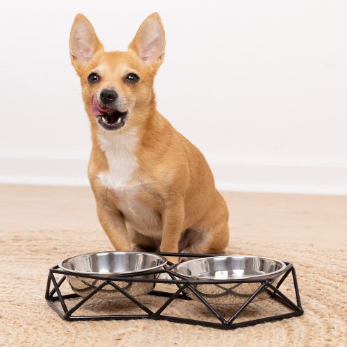 Sada 2 nerezových misek Navaris pro psy a kočky s kovovou podpěrou, 54103.01