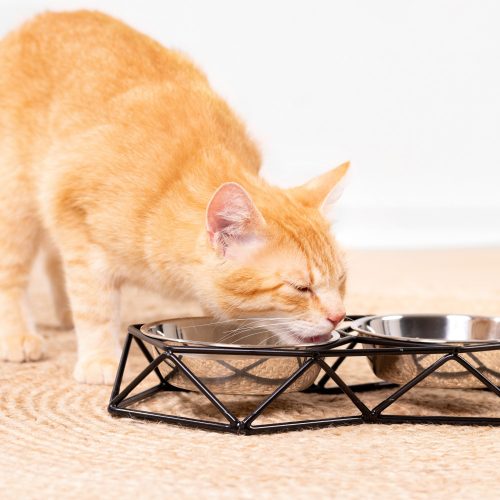 Sada 2 nerezových misek Navaris pro psy a kočky s kovovou podpěrou, 54103.01