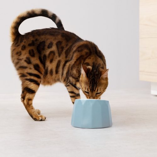 Sklopná keramická miska Navaris, modrá, 55230.04