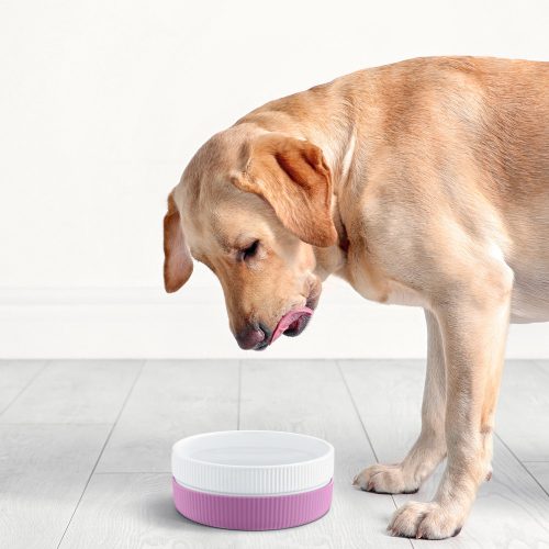 Sada 2 misek pro kočky a psy Navaris, protiskluzová, růžová, 53411.08