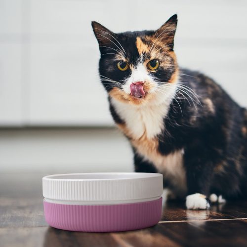 Sada 2 misek pro kočky a psy Navaris, protiskluzová, růžová, 53411.08