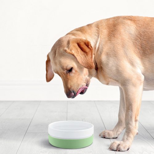 Sada 2 misek pro kočky a psy Navaris, protiskluzová, zelená, 53411.07