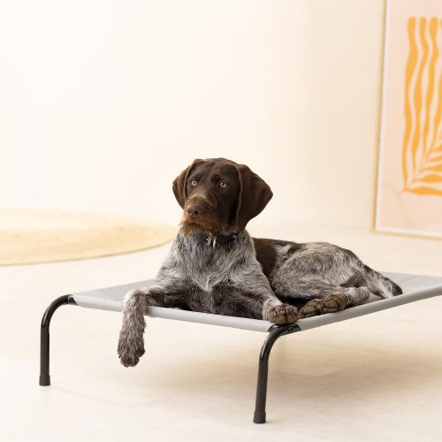 Chladící vyvýšený pelíšek Navaris pro psy do 25 kg, 91 x 65 cm, 56887.25.2