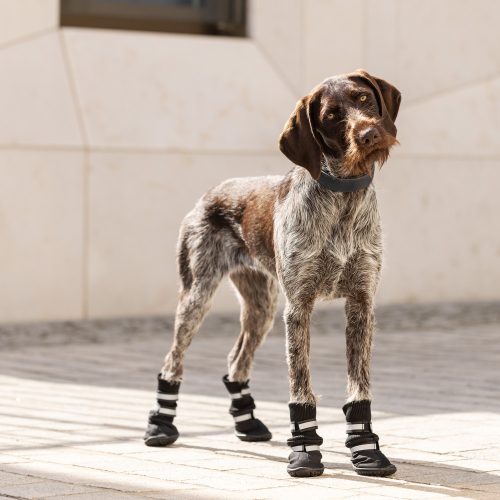 Protiskluzové pantofle pro psy Navaris vel. L, Černá, Textil, 57209.3