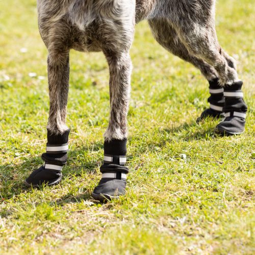 Protiskluzové pantofle pro psy Navaris vel. L, Černá, Textil, 57209.3