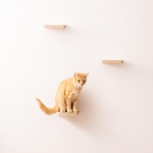 Navaris lezecký nábytek pro kočky, krém, dřevo, 59243.01