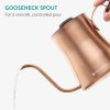 Ceainic gooseneck Navaris, cu termometru, 1000 ml, pentru cafea, 54695.02