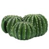 Ascunzatoare cactus pentru reptile Navaris, 22.5x22x10 cm, NAV000025VG001C