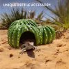Ascunzatoare cactus pentru reptile Navaris, 22.5x22x10 cm, NAV000025VG001C