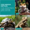Ascunzatoare cactus pentru reptile Navaris, 22.5x22x10 cm, NAV000025VG001C