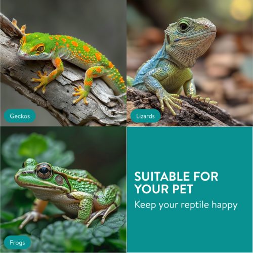 Castron hrana reptile Navaris, pentru serpi, gecko, soparle, broaste, NAV000025VM001C