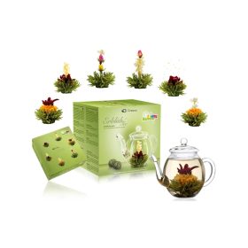   Dárková sada kvetoucího čaje Creano se skleněnou konvicí 500 ml, 6 druhů ovocného zeleného čaje