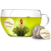 Dárková sada kvetoucího čaje Creano Teelini, skleněný hrnek 200 ml, 8 sáčků, 4 ovocné příchutě zeleného čaje