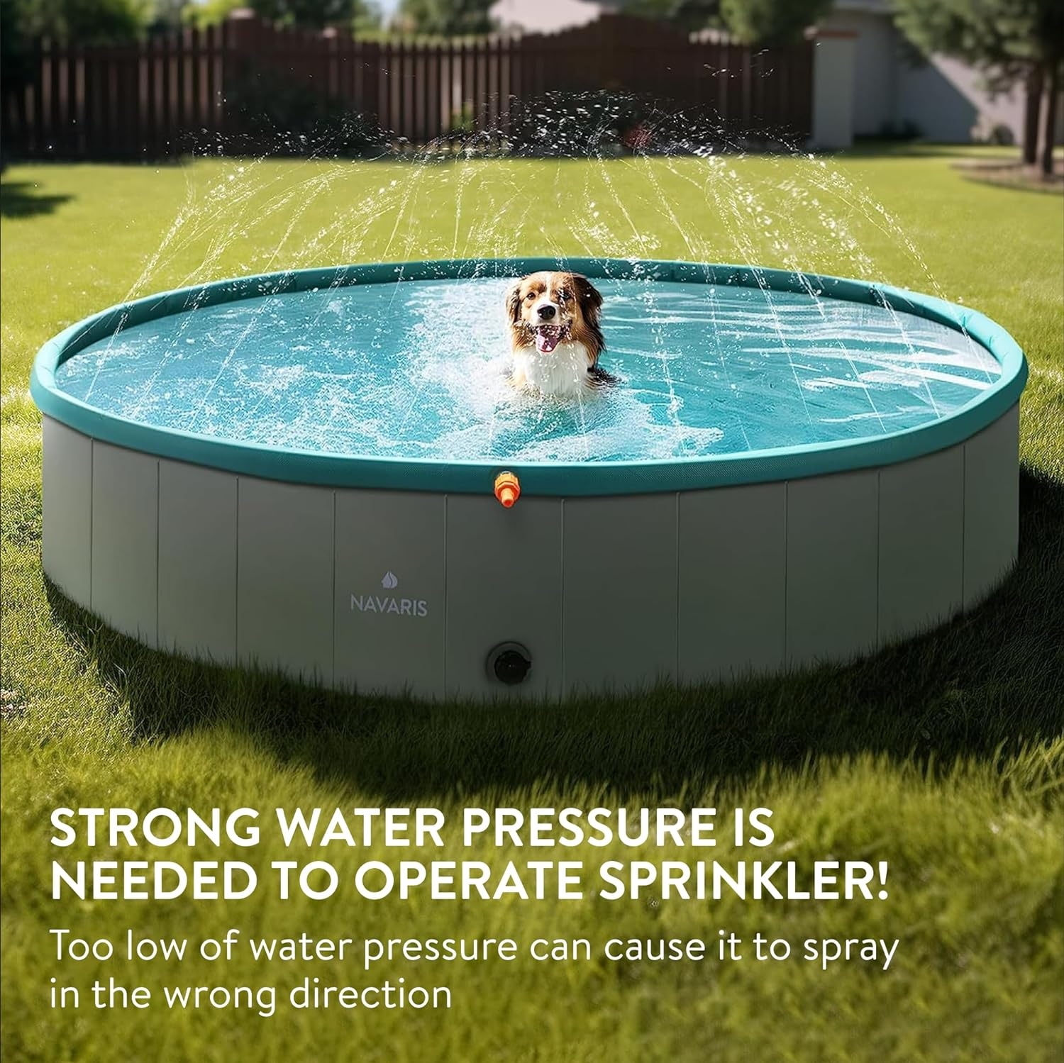 Piscina pentru caini Navaris XL cu sprinkler, 160 cm, verde, 60231.01